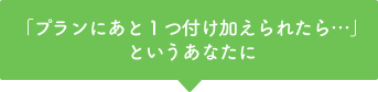 プランに後一つ付け加えられたらというあなたに