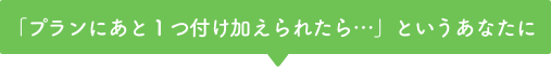 プランに後一つ付け加えられたらというあなたに